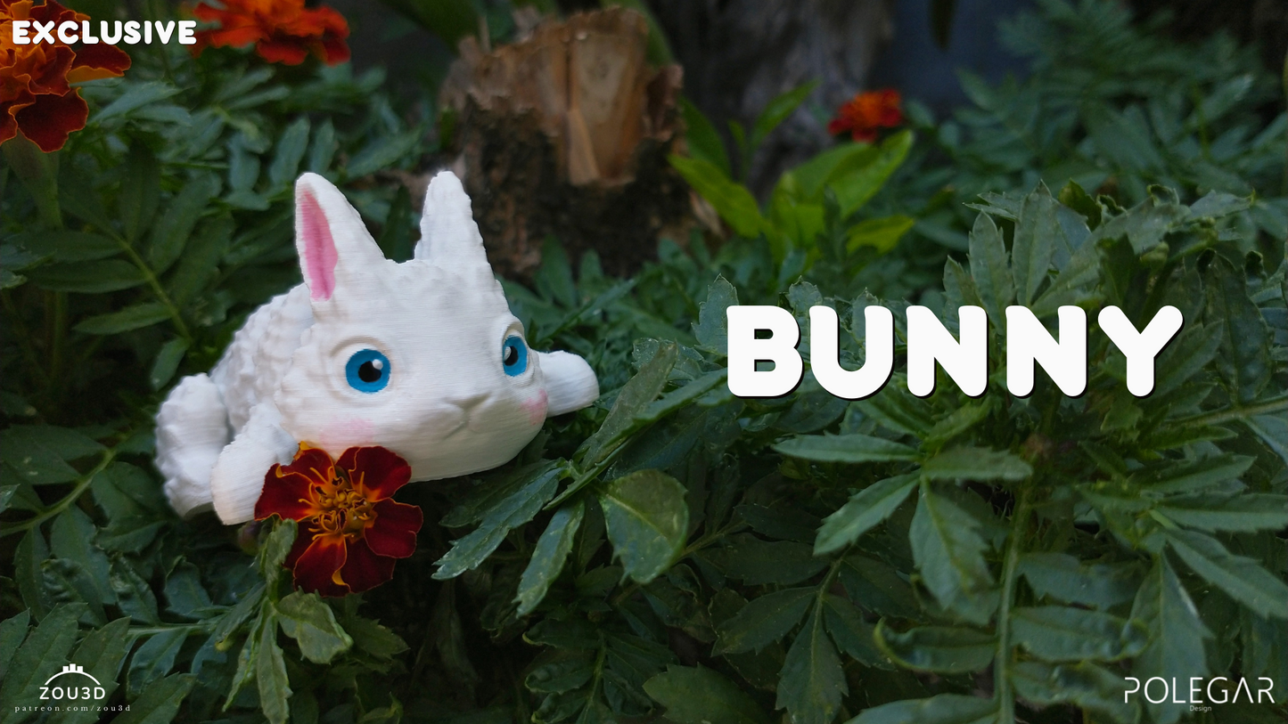 Bunny