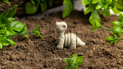 Baby Brontosaurus Skeleton