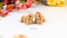 Baby Daschund