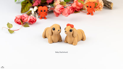 Baby Daschund