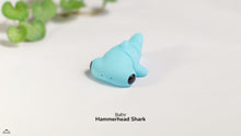 Baby Hammerhead Shark