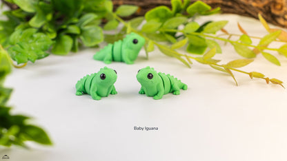 Baby Iguana