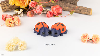 Baby Ladybug