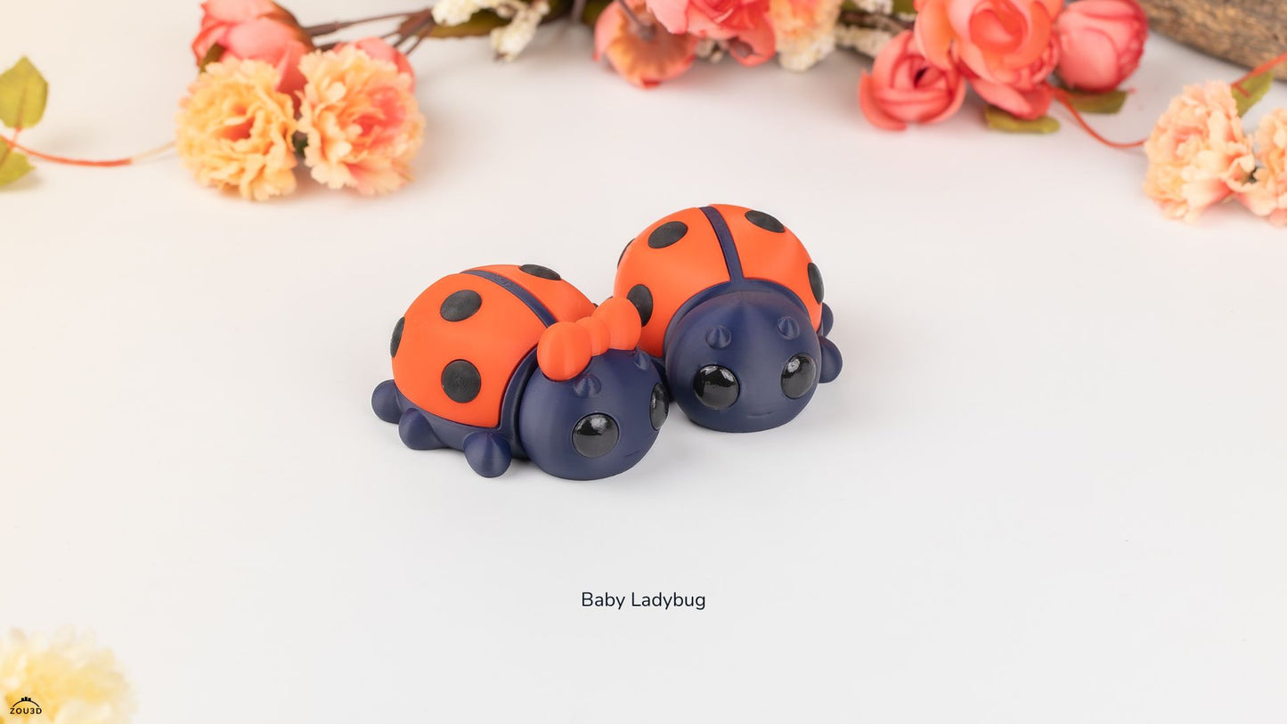 Baby Ladybug