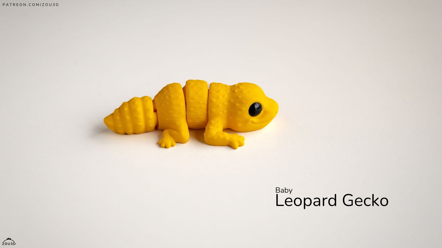 Baby Leopard Gecko
