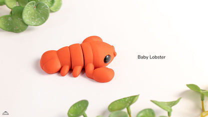 Baby Lobster