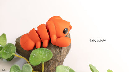 Baby Lobster