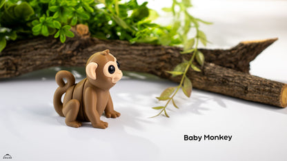 Baby Monkey