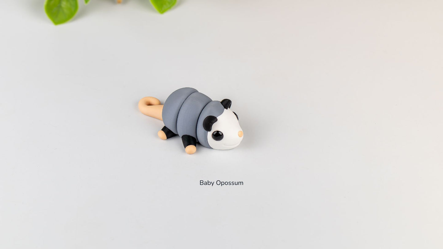 Baby Opposum