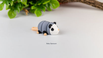 Baby Opposum