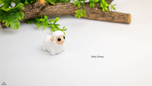Baby Sheep