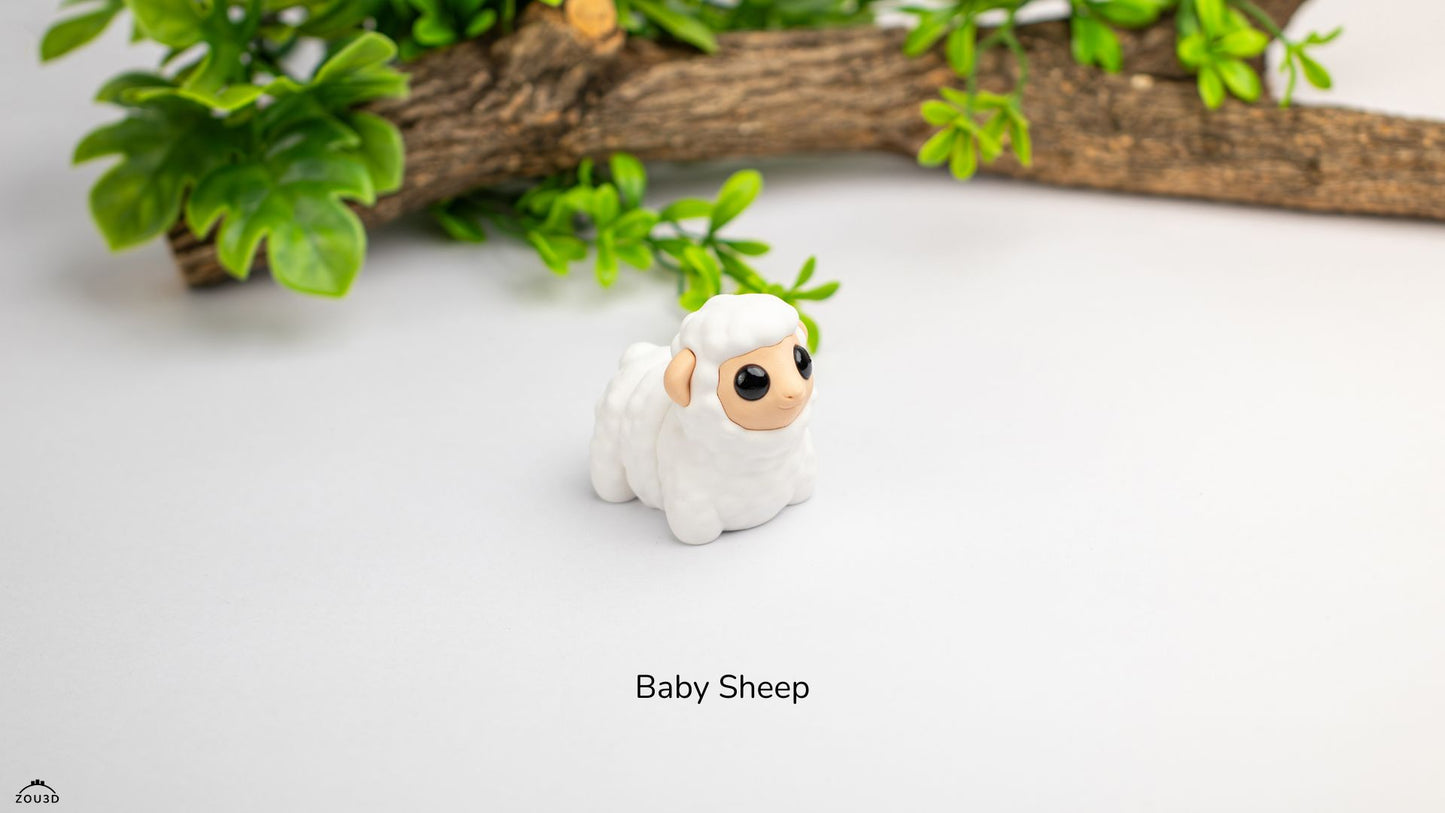 Baby Sheep