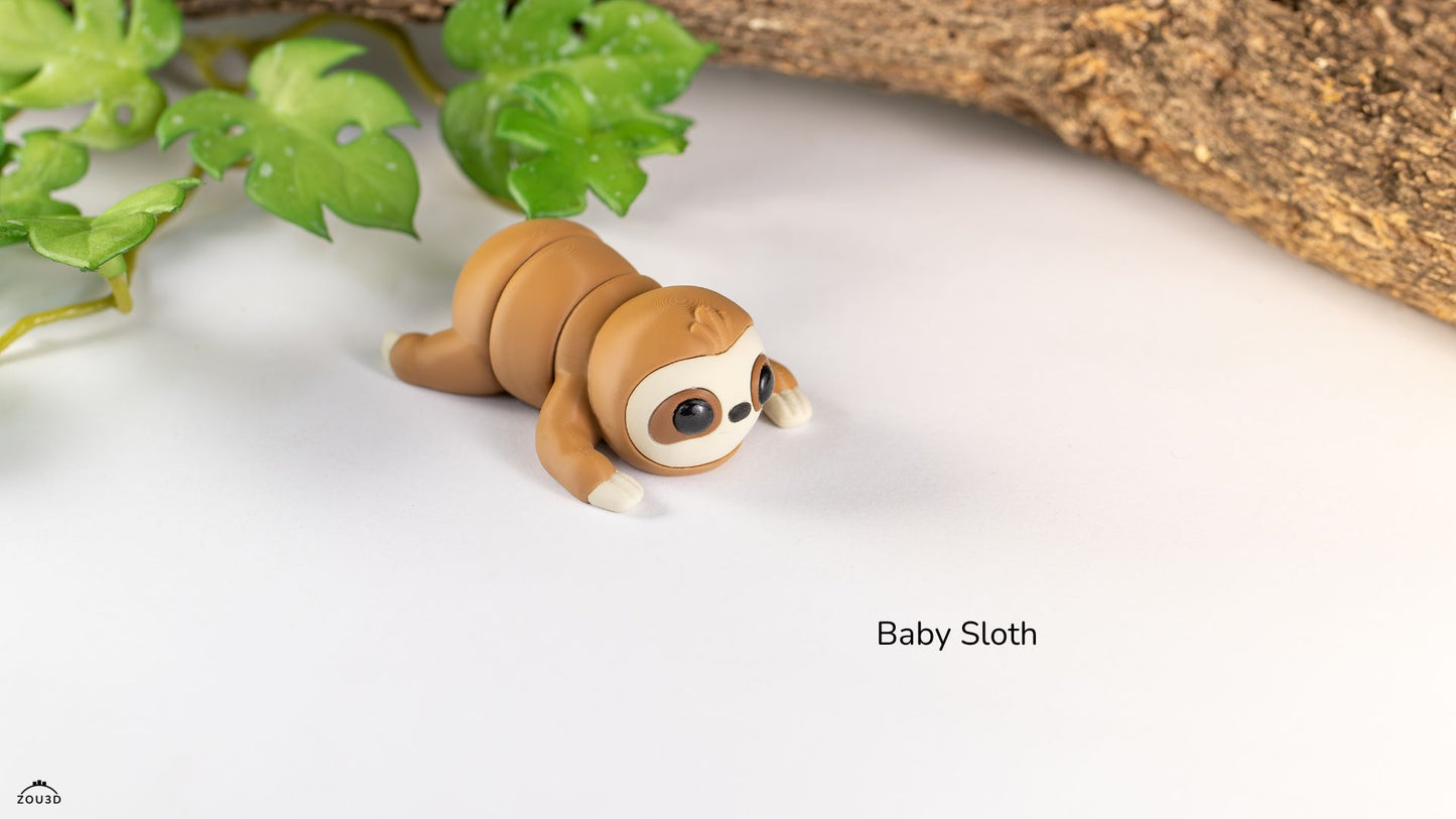 Baby Sloth