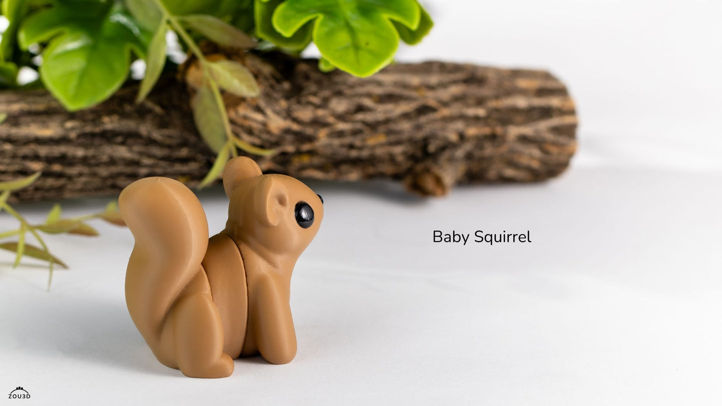 Baby Squirrel