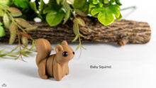 Baby Squirrel