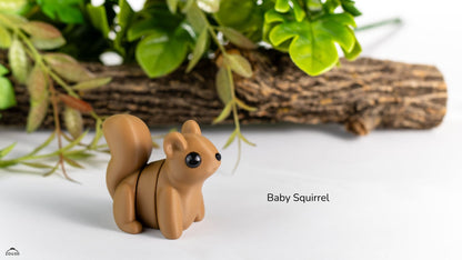 Baby Squirrel