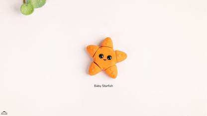 Baby Starfish