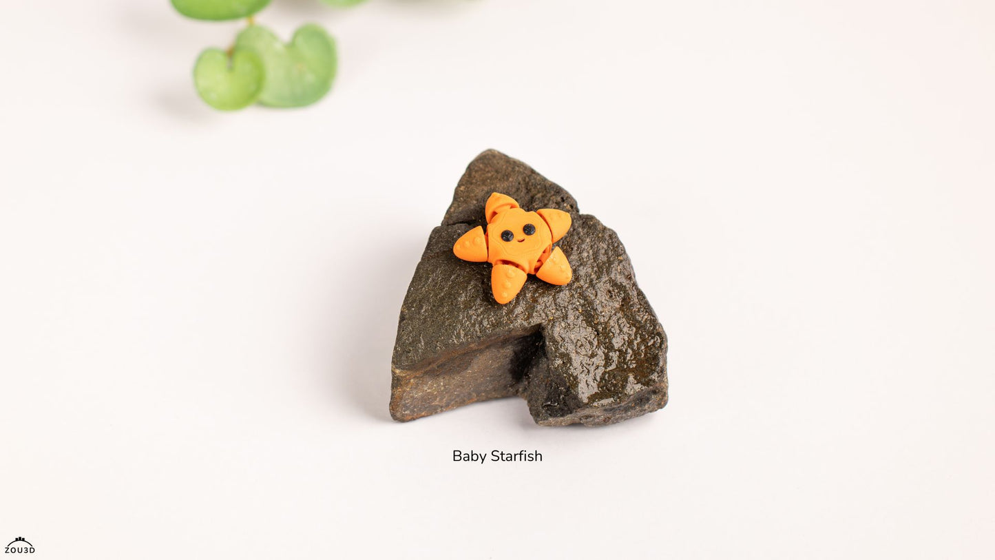Baby Starfish