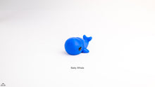 Baby Whale