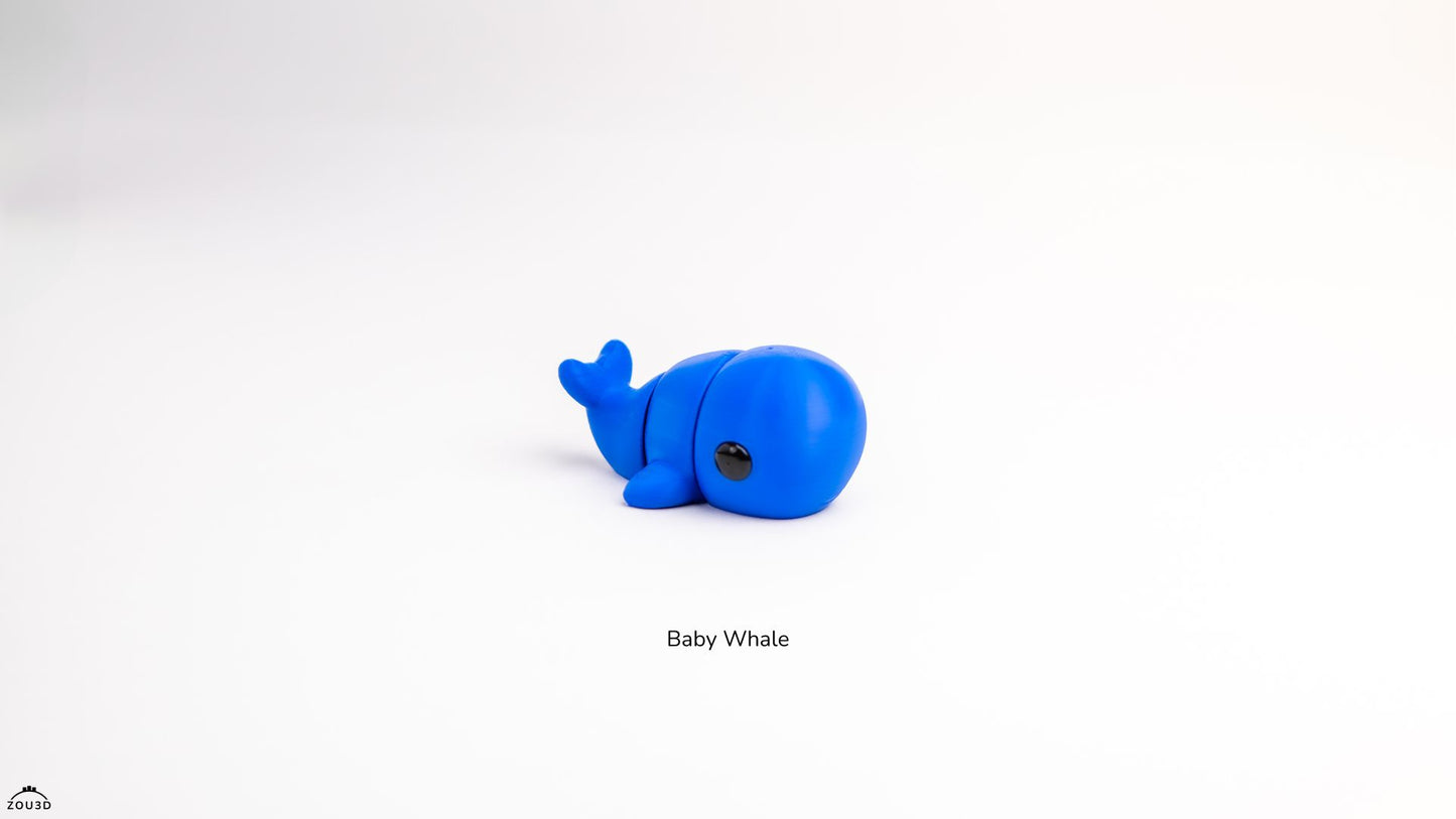 Baby Whale