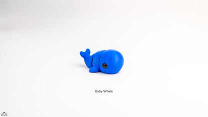 Baby Whale