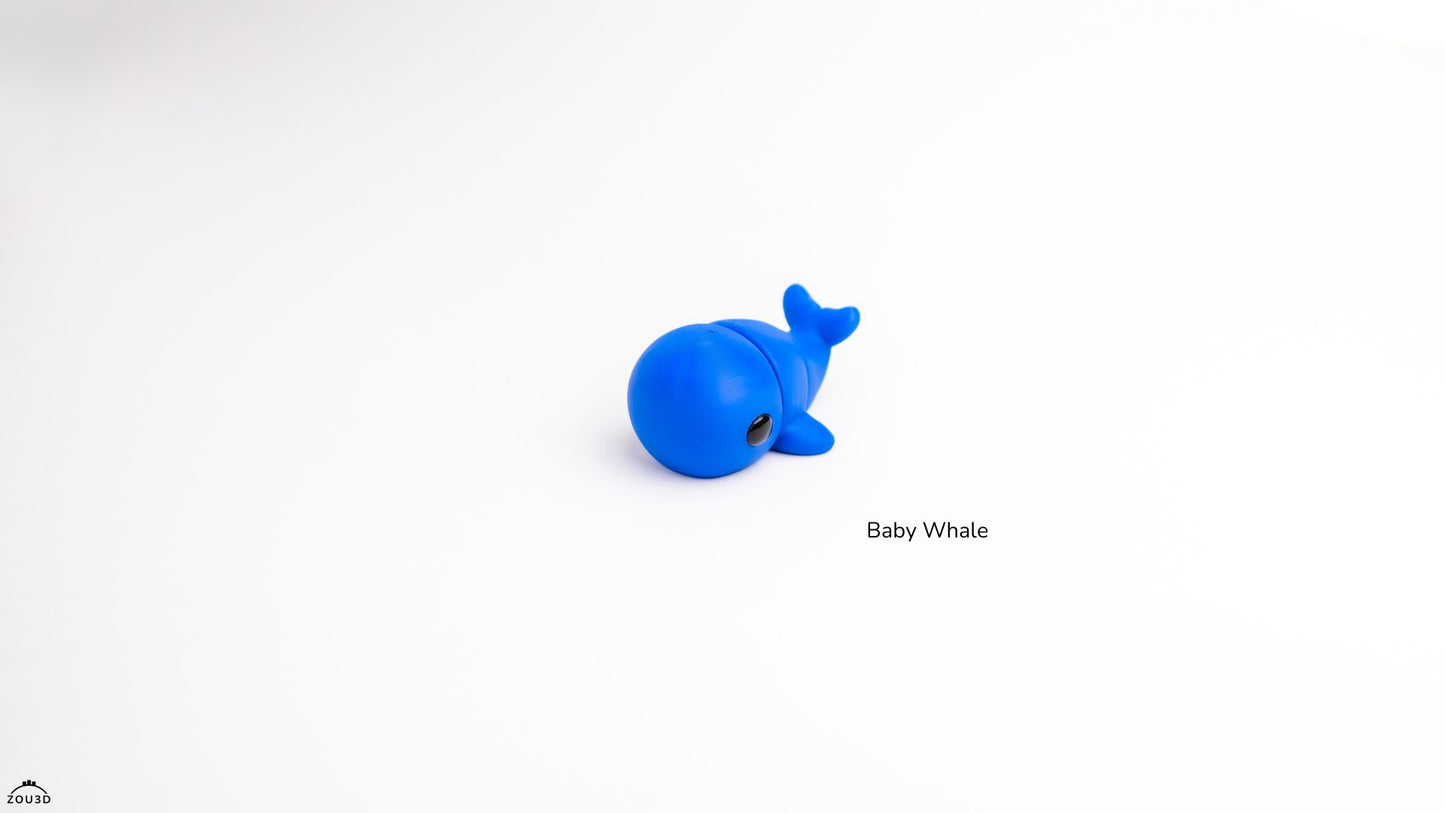 Baby Whale