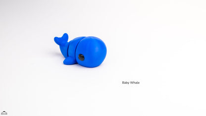 Baby Whale
