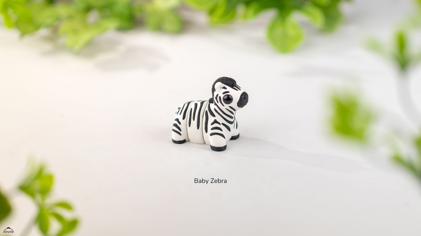 Baby Zebra