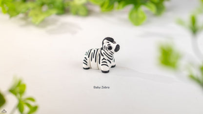 Baby Zebra