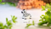 Baby Zebra