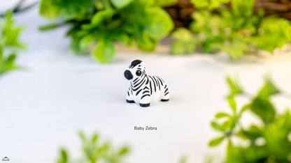 Baby Zebra
