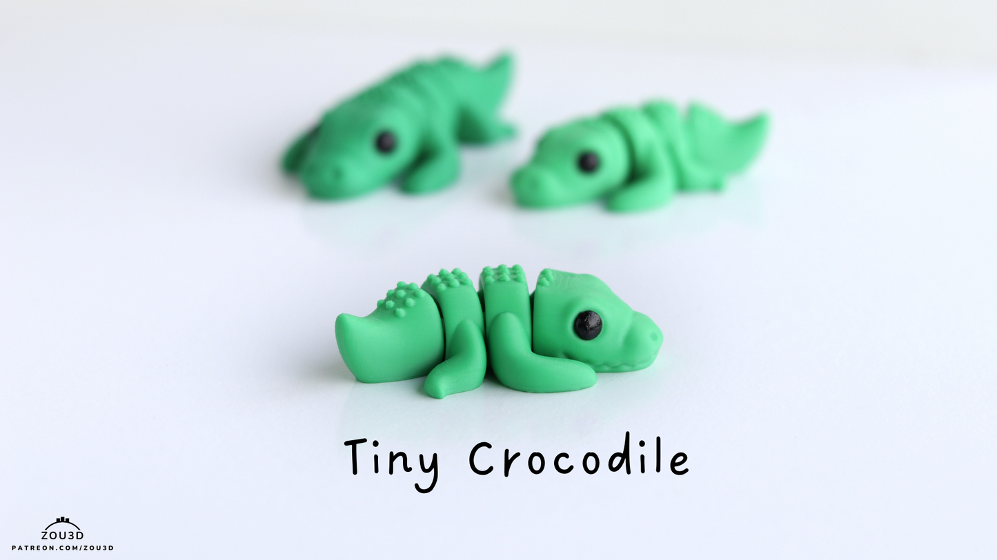 Baby Crocodile