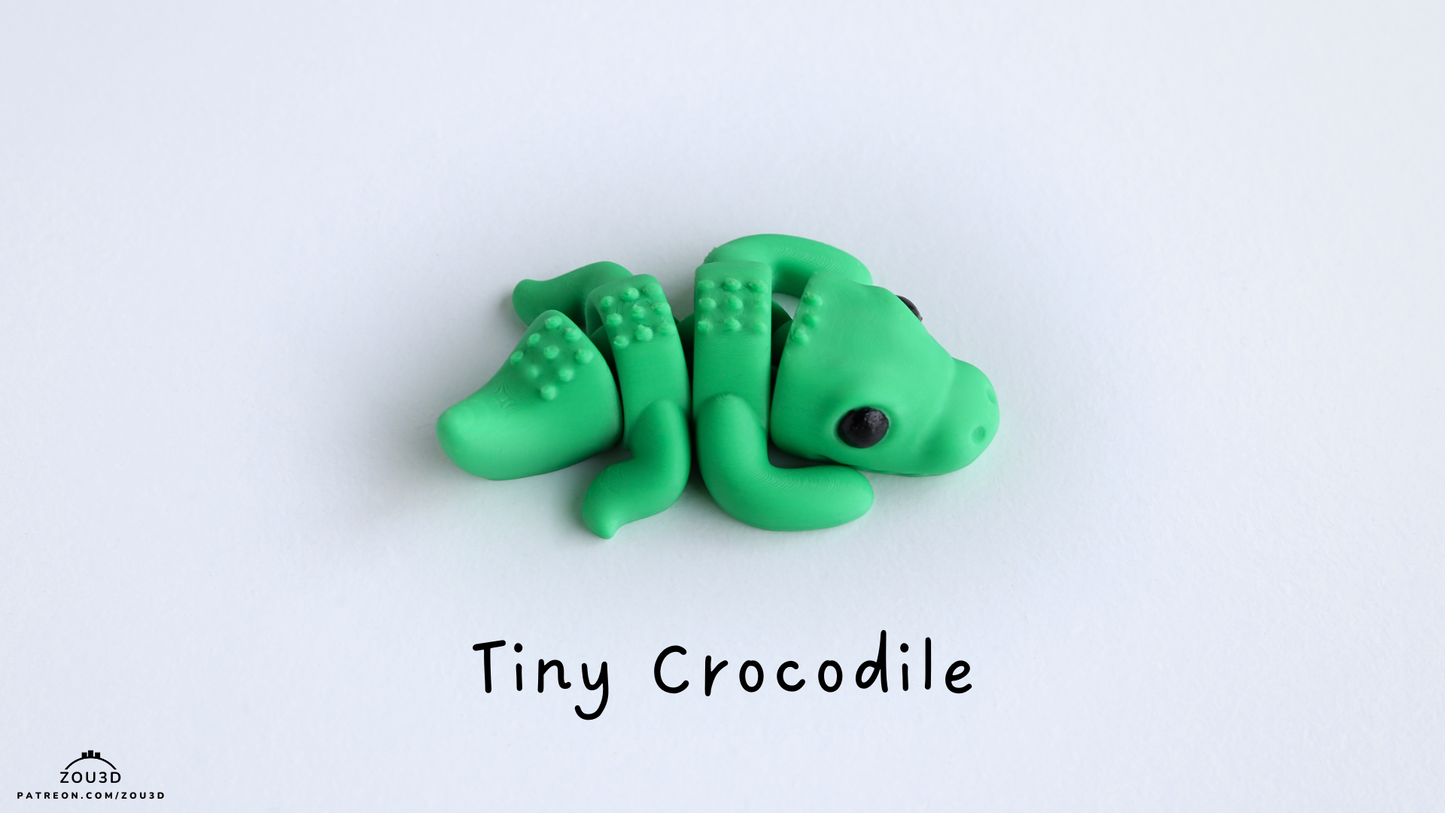 Baby Crocodile