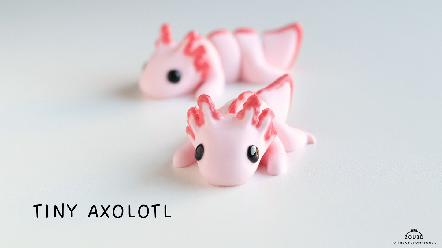 Tiny Baby Axolotl