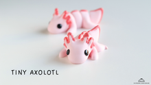 Tiny Baby Axolotl