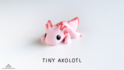 Tiny Baby Axolotl