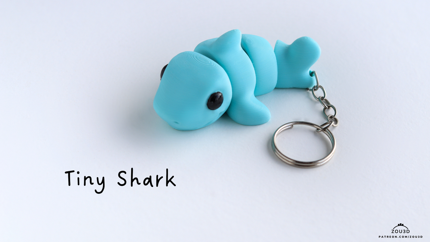 Tiny Shark
