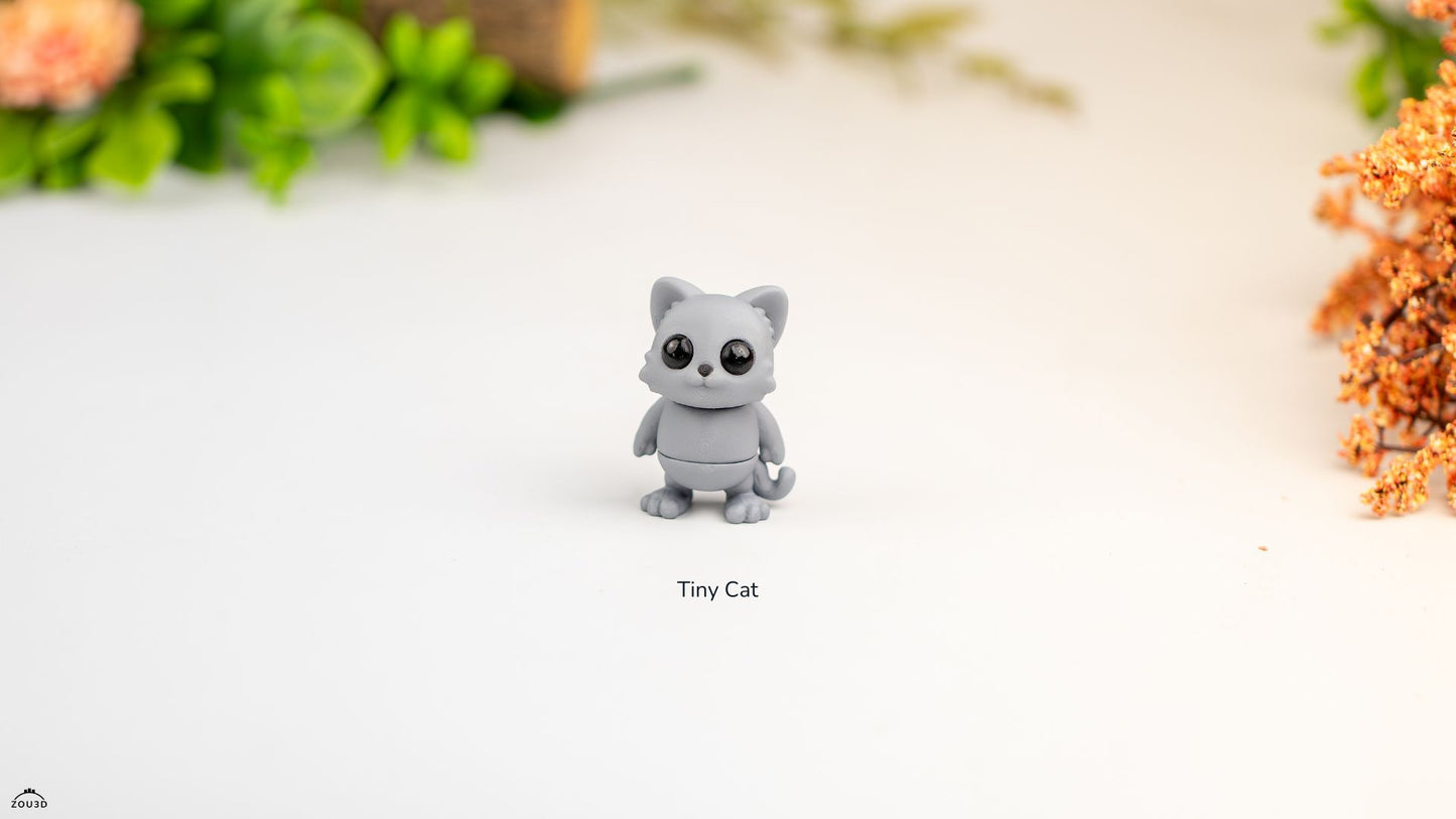 Tiny Cat