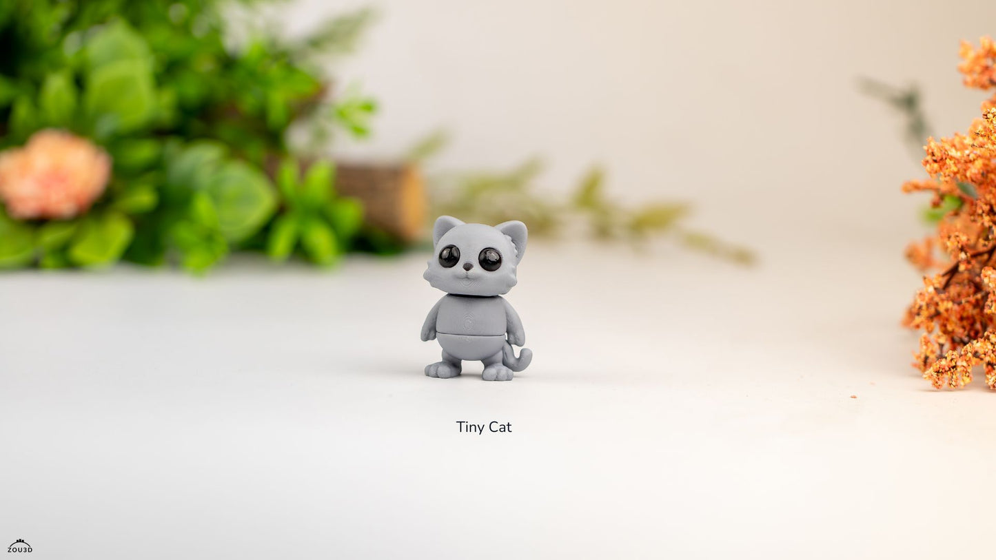 Tiny Cat