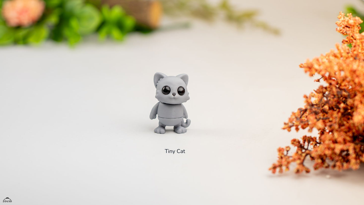 Tiny Cat