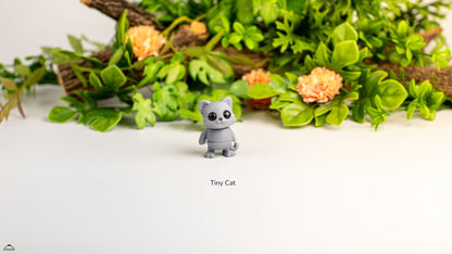 Tiny Cat