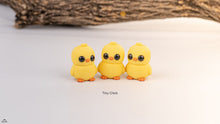 Tiny Chick