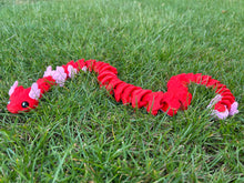 Cupid Snake