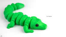 Zou Alligator