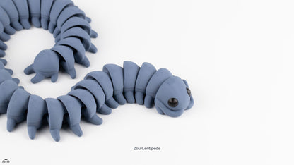 Zou Centipede